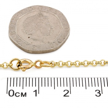 9ct gold 20 inch belcher Chain